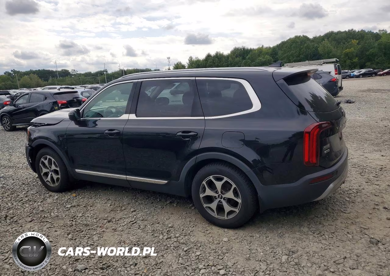 2020 Kia Telluride Ex VIN:5XYP3DHC7LG026508 - 2
