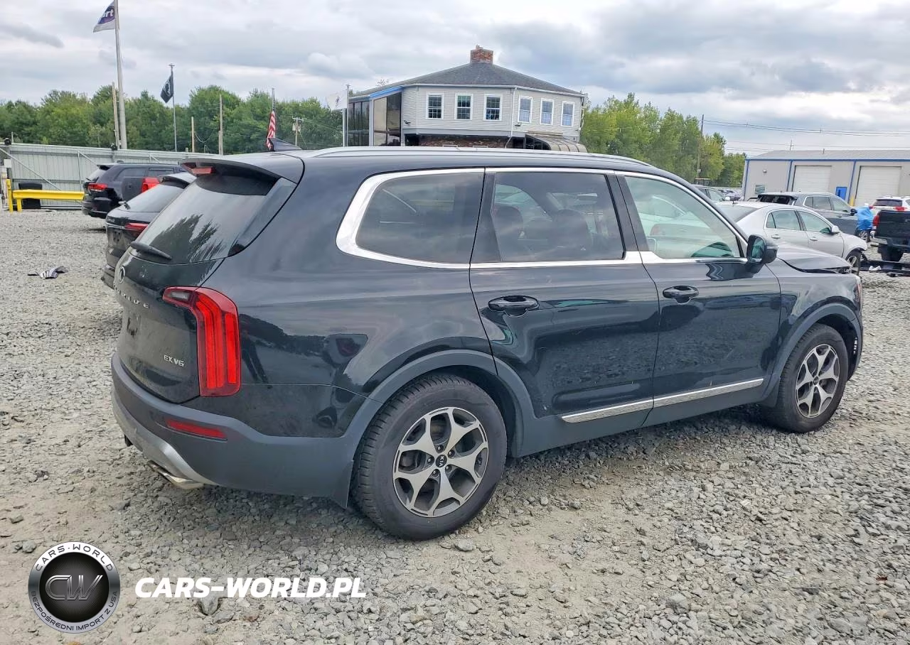 2020 Kia Telluride Ex VIN:5XYP3DHC7LG026508 - 3