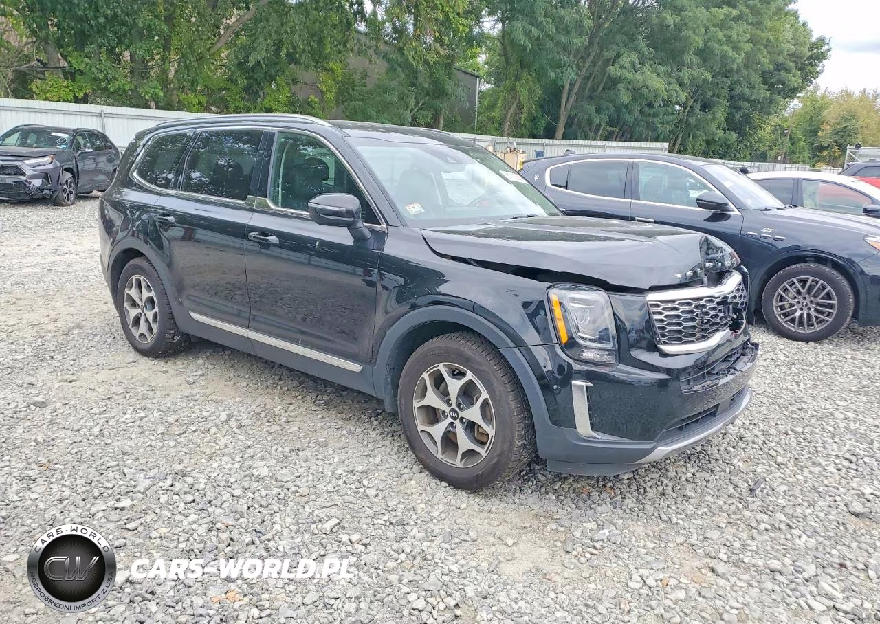 2020 Kia Telluride Ex VIN:5XYP3DHC7LG026508 - 4