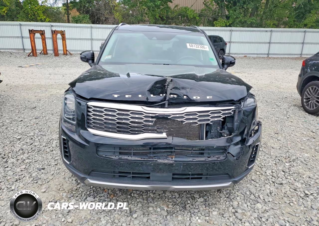 2020 Kia Telluride Ex VIN:5XYP3DHC7LG026508 - 5