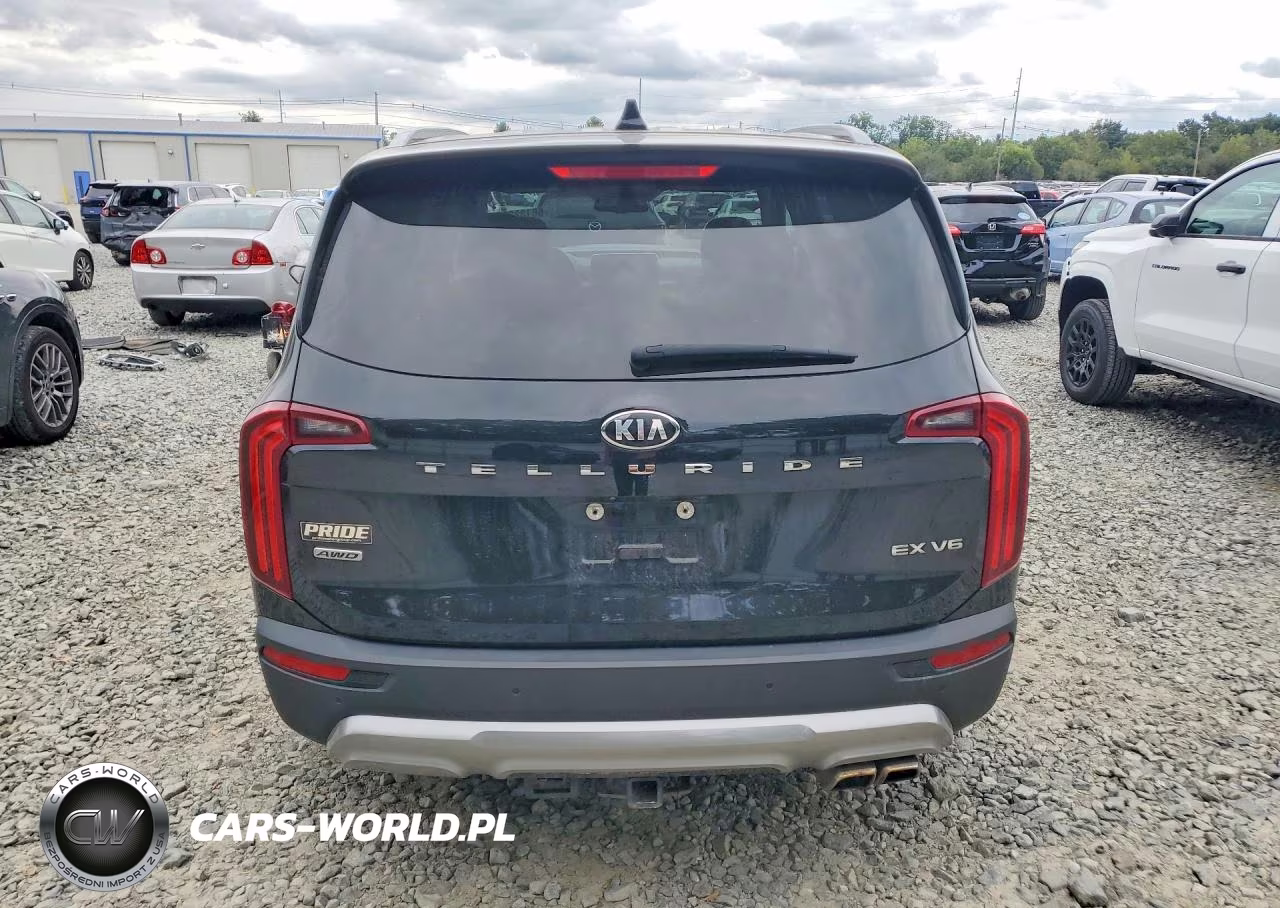 2020 Kia Telluride Ex VIN:5XYP3DHC7LG026508 - 6