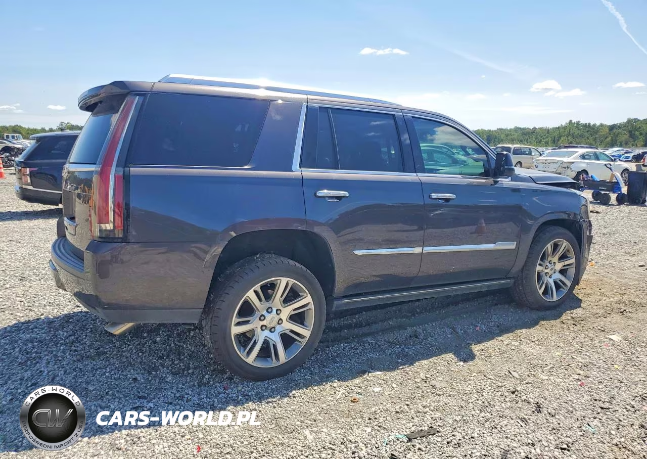 2016 Cadillac Escalade Premium VIN:1GYS3CKJ7GR419390 - 3