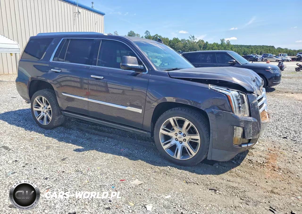 2016 Cadillac Escalade Premium VIN:1GYS3CKJ7GR419390 - 4