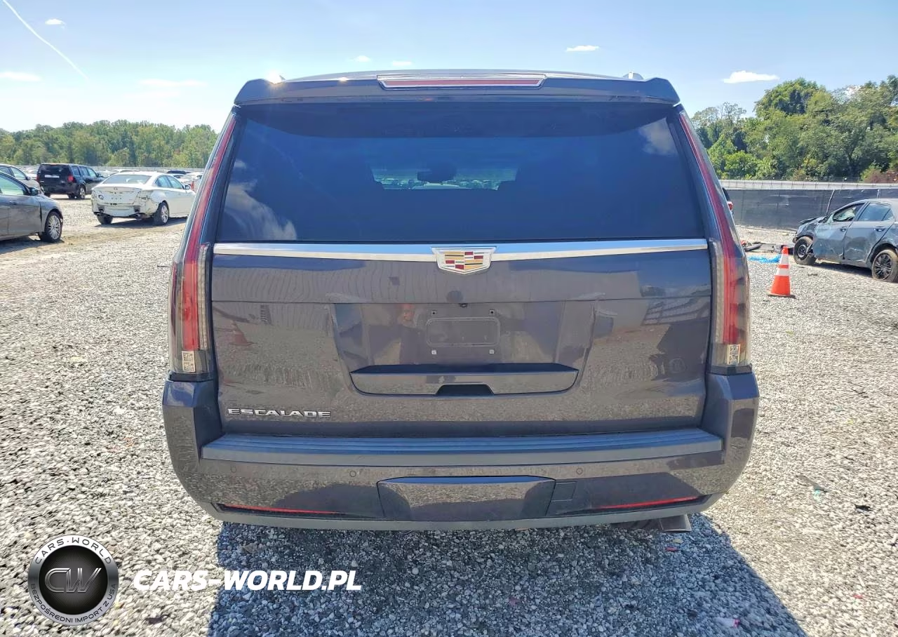 2016 Cadillac Escalade Premium VIN:1GYS3CKJ7GR419390 - 6