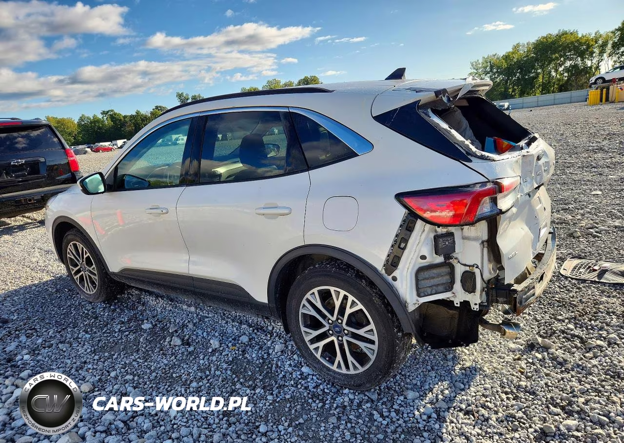 2020 Ford Escape Sel VIN:1FMCU9H6XLUA97876 - 2