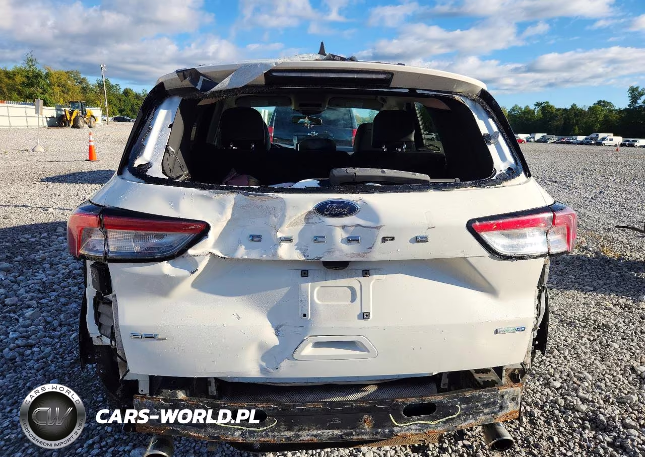 2020 Ford Escape Sel VIN:1FMCU9H6XLUA97876 - 6