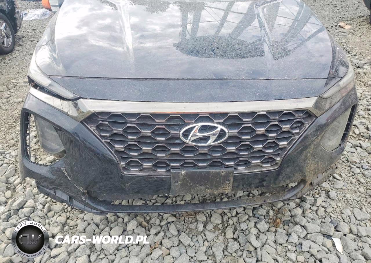2019 Hyundai Santa Fe Se VIN:5NMS2CAD0KH119353 - 11