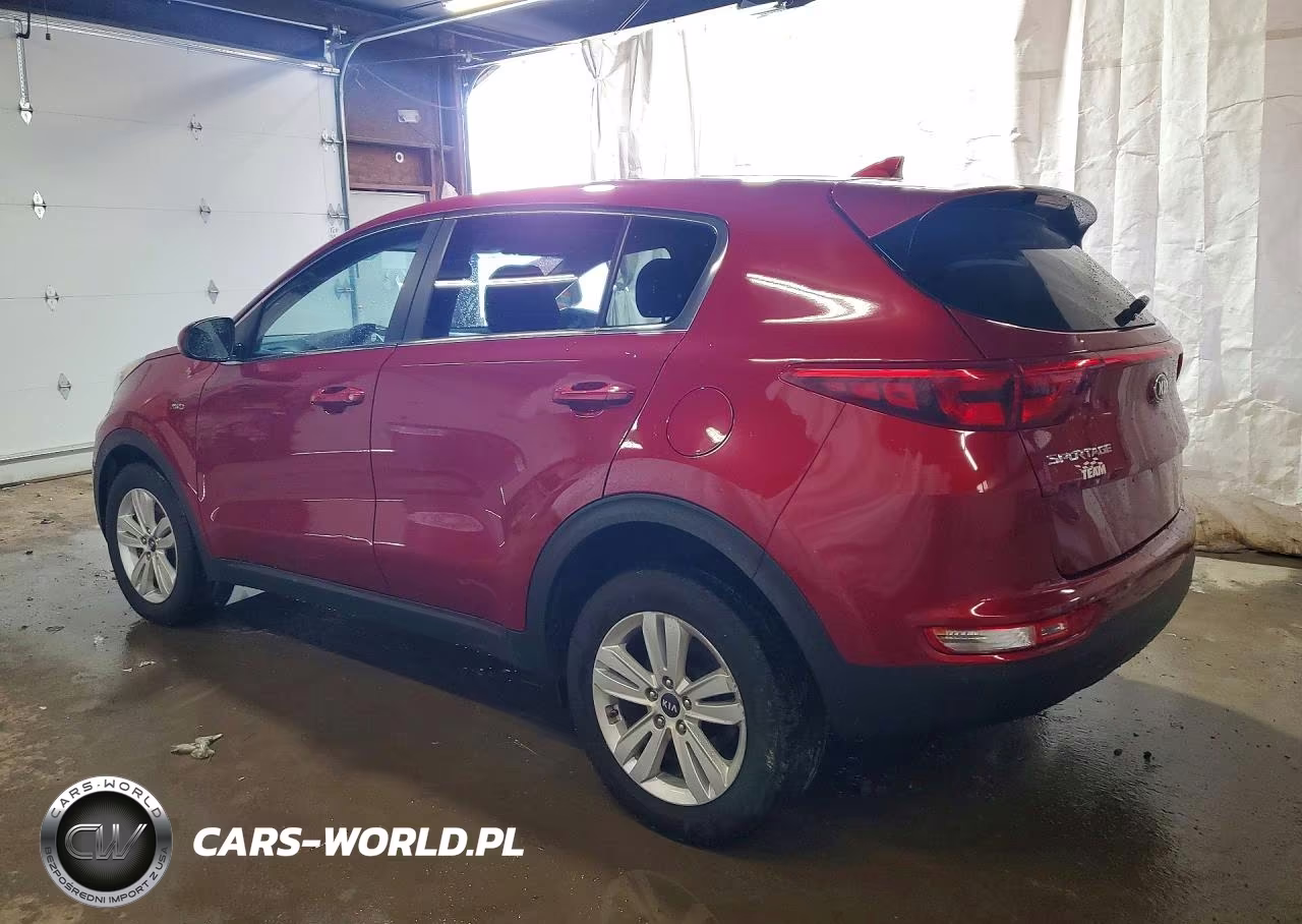 2019 Kia Sportage Lx VIN:KNDPMCAC6K7562993 - 2