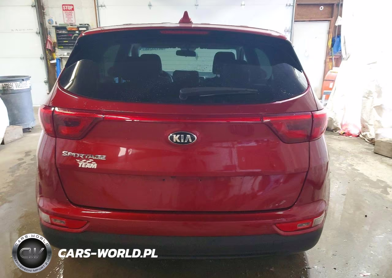 2019 Kia Sportage Lx VIN:KNDPMCAC6K7562993 - 6