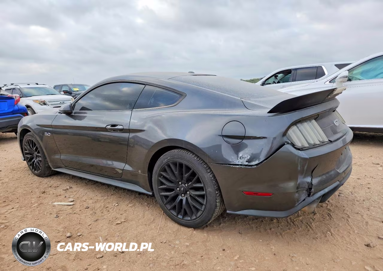 2019 Ford Mustang Gt VIN:1FA6P8CF1K5101788 - 2