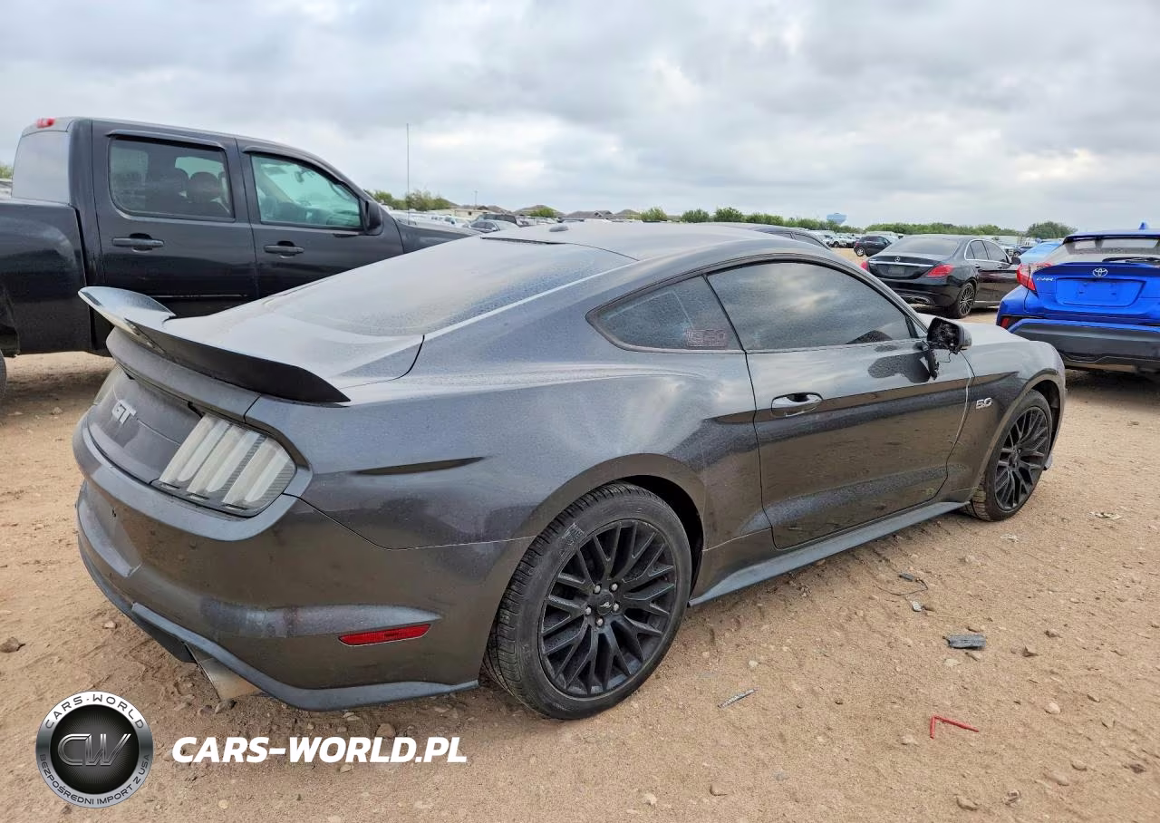 2019 Ford Mustang Gt VIN:1FA6P8CF1K5101788 - 3
