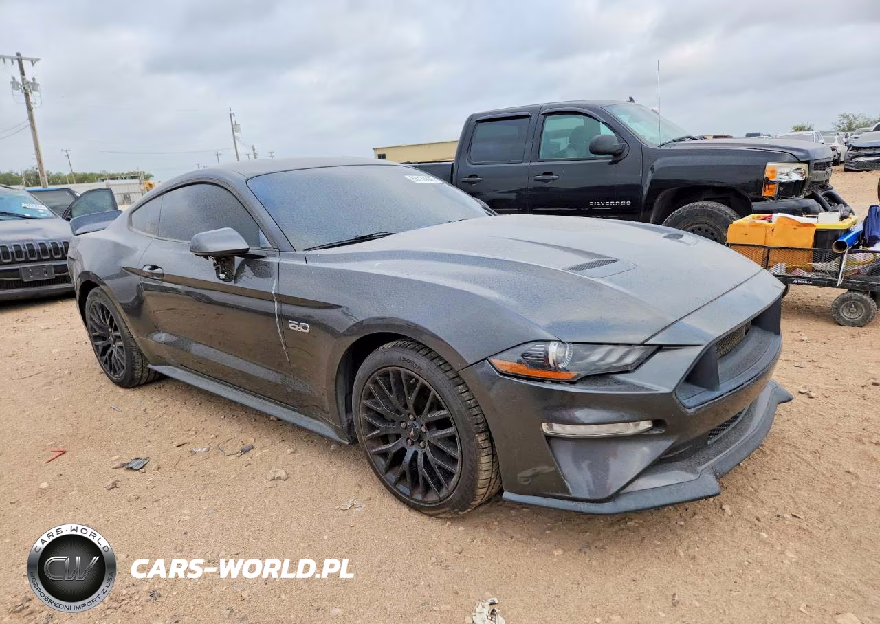 2019 Ford Mustang Gt VIN:1FA6P8CF1K5101788 - 4