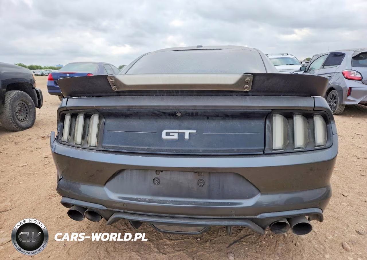 2019 Ford Mustang Gt VIN:1FA6P8CF1K5101788 - 6