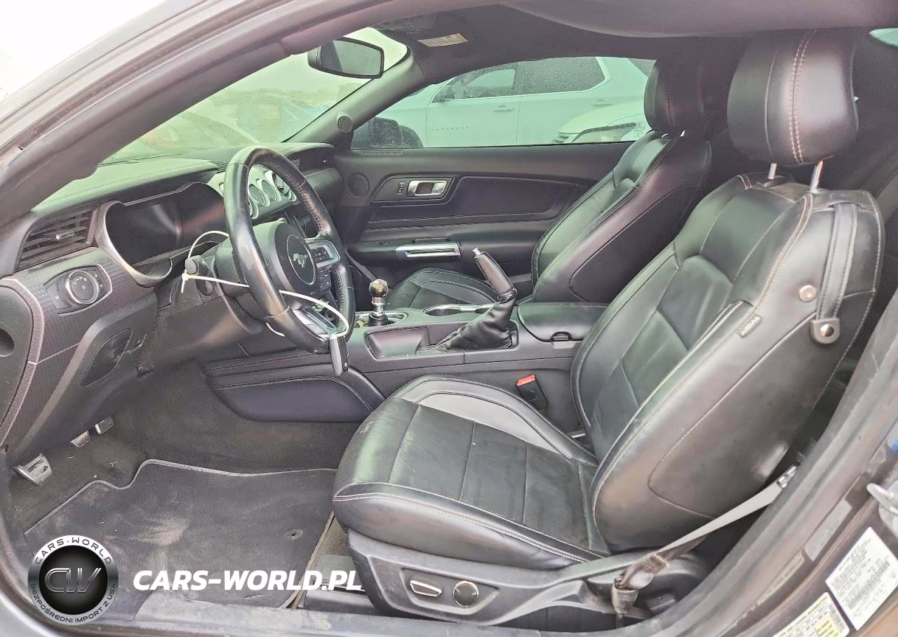 2019 Ford Mustang Gt VIN:1FA6P8CF1K5101788 - 7