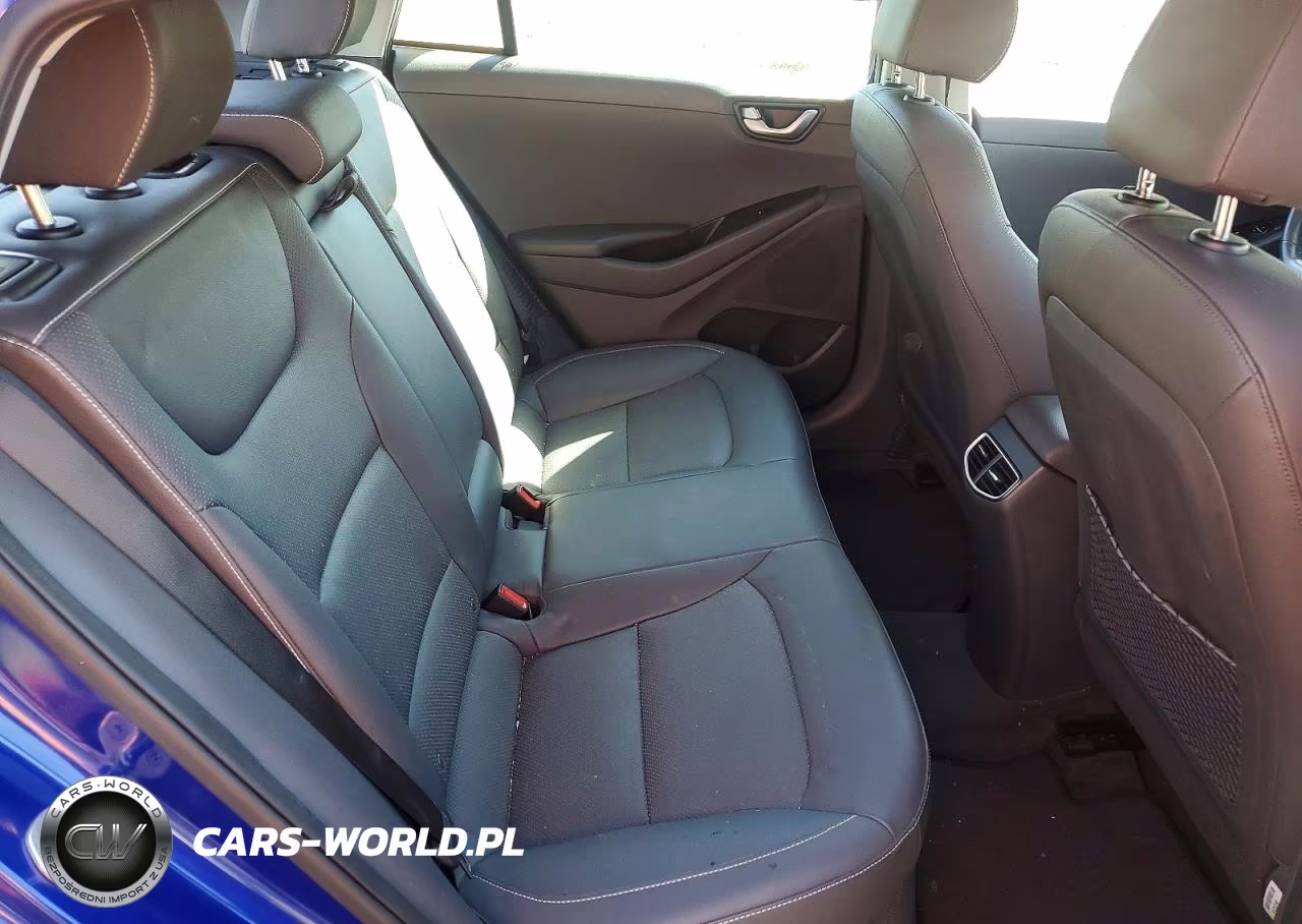 2019 Hyundai Ioniq Limited VIN:KMHC75LD3KU183261 - 10