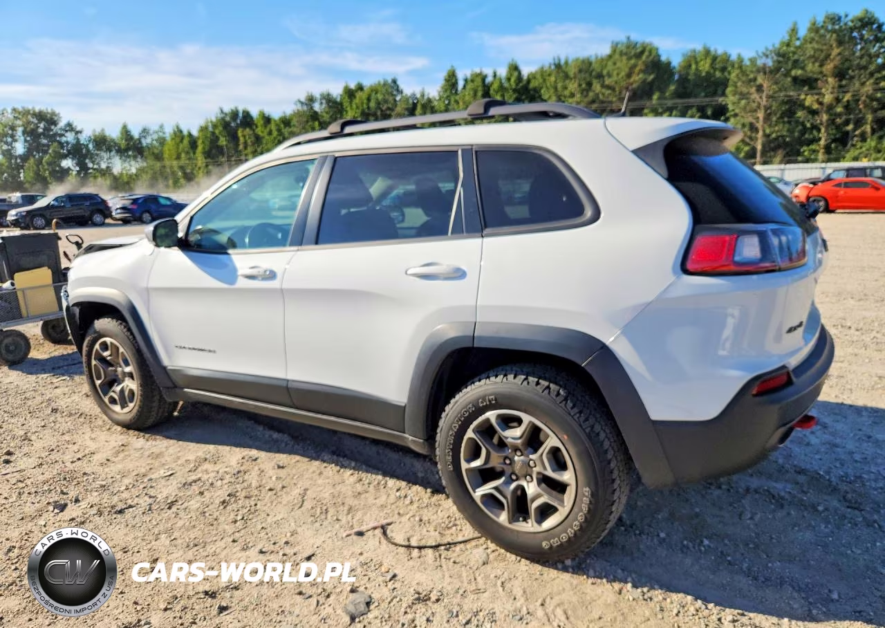 2020 Jeep Cherokee Trailhawk VIN:1C4PJMBX9LD636667 - 2
