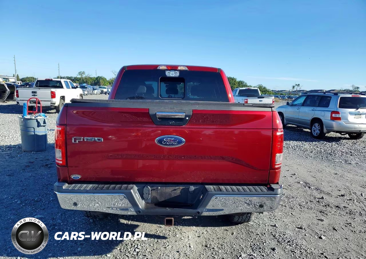 2017 Ford F150 Supercrew VIN:1FTEW1EP3HFA20882 - 6