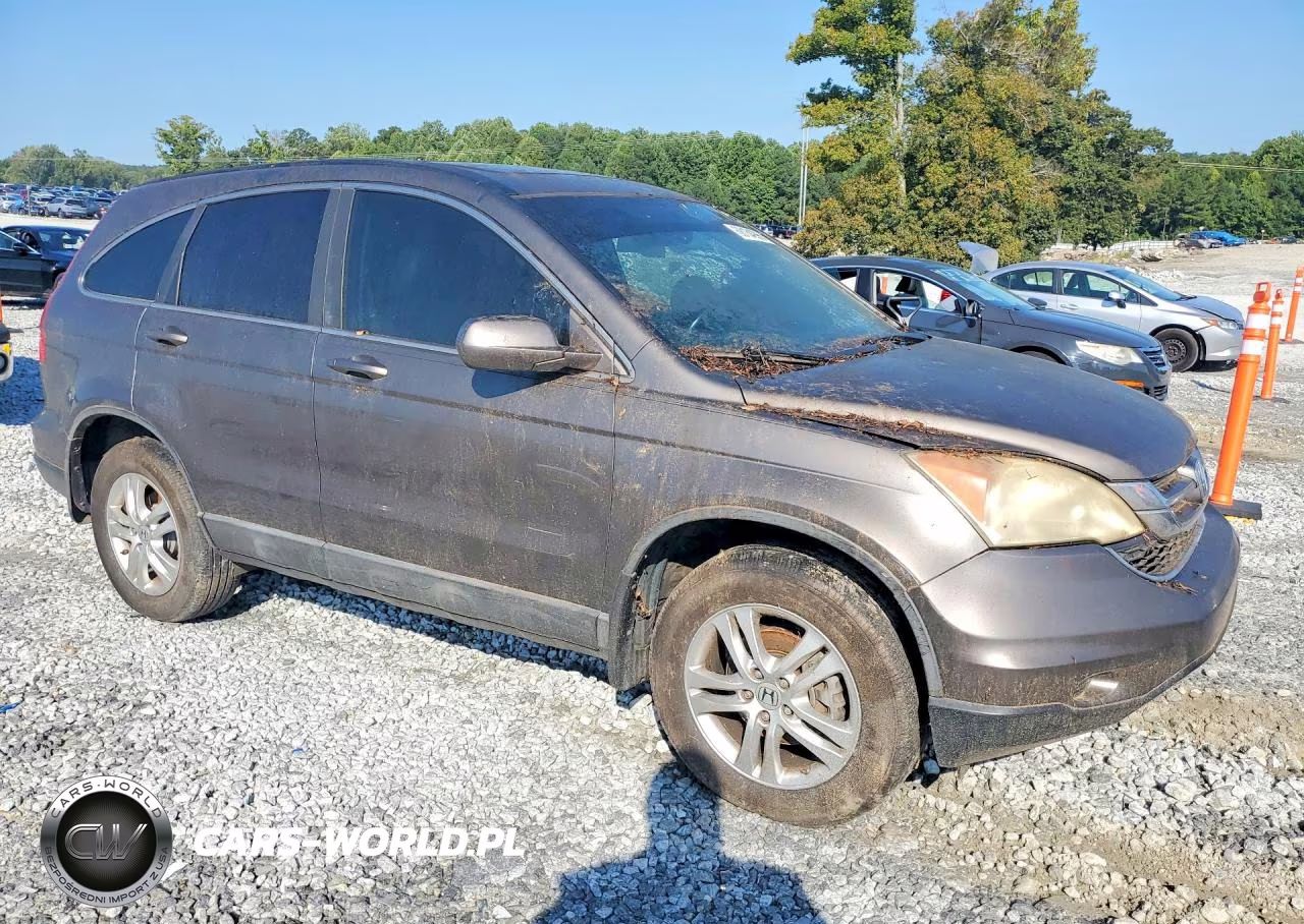 2010 Honda Cr-V Exl VIN:5J6RE3H77AL008571 - 4