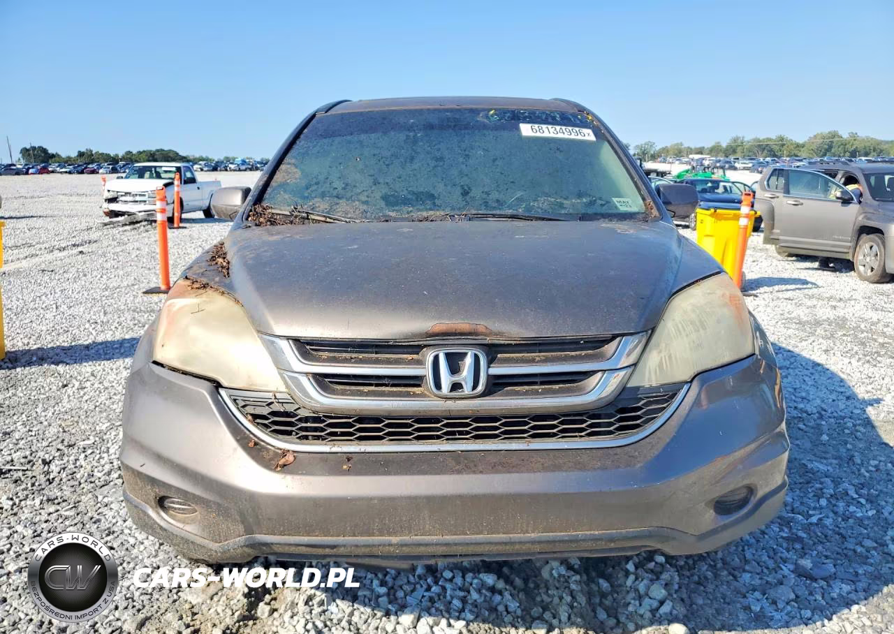 2010 Honda Cr-V Exl VIN:5J6RE3H77AL008571 - 5