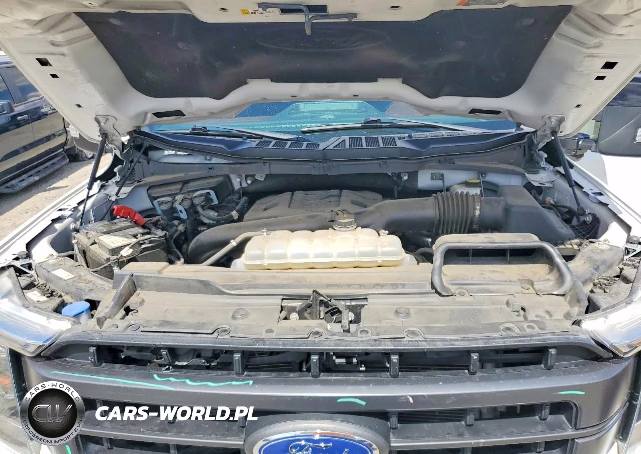 2023 Ford F150 Supercrew VIN:1FTFW1E80PFD10900 - 11