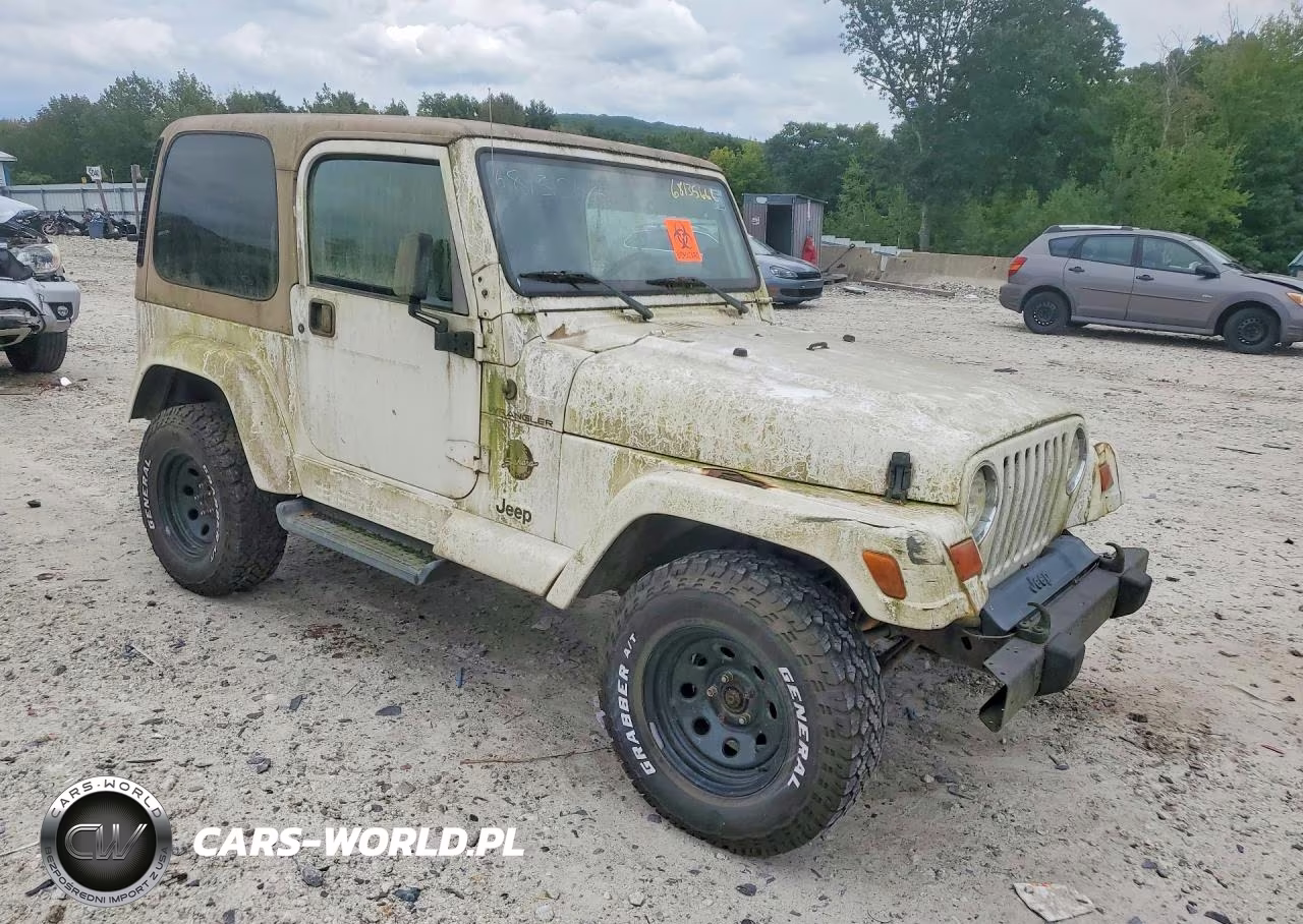 2002 Jeep Wrangler - Tj Sahara VIN:1J4FA59S32P760002 - 4