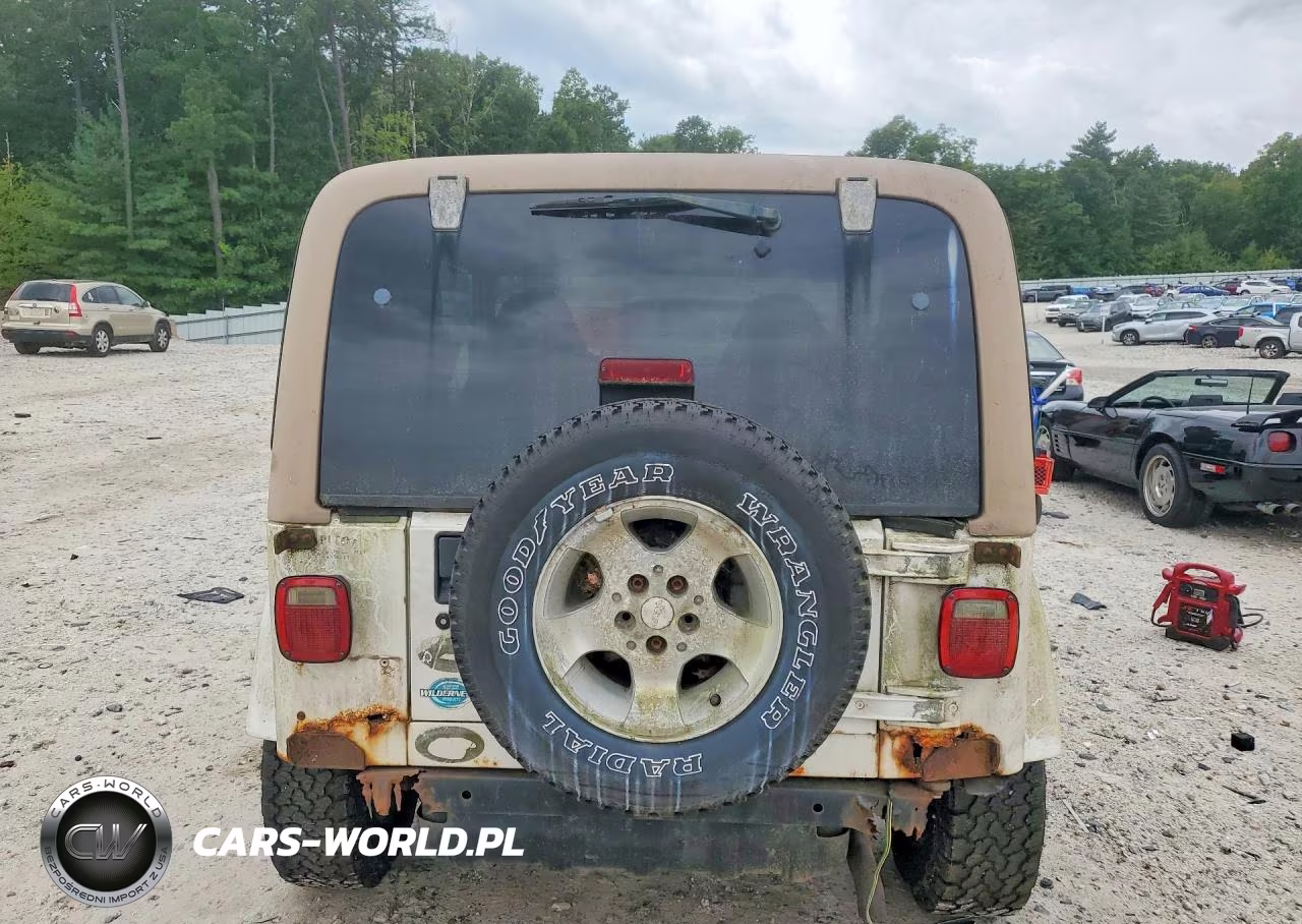 2002 Jeep Wrangler - Tj Sahara VIN:1J4FA59S32P760002 - 6
