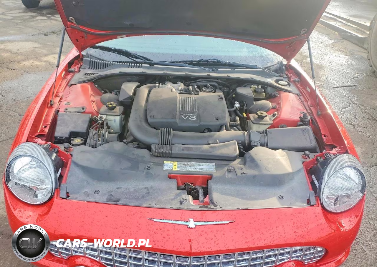 2002 Ford Thunderbird VIN:1FAHP60A52Y102902 - 11