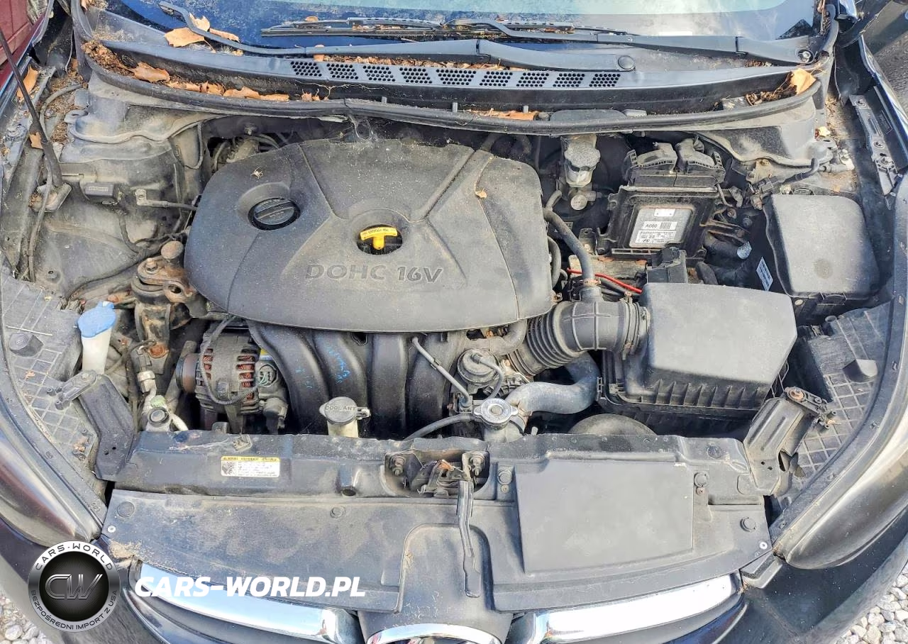 2012 Hyundai Elantra Gls VIN:5NPDH4AE6CH092475 - 11