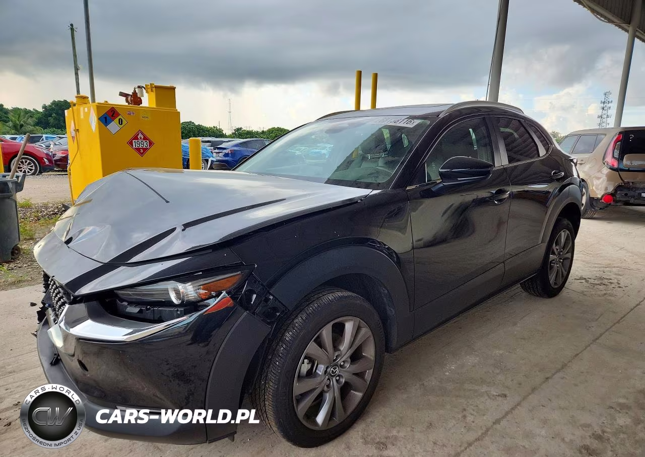 2025 Mazda Cx-30 Preferred VIN:3MVDMBCM5SM794993 - 1