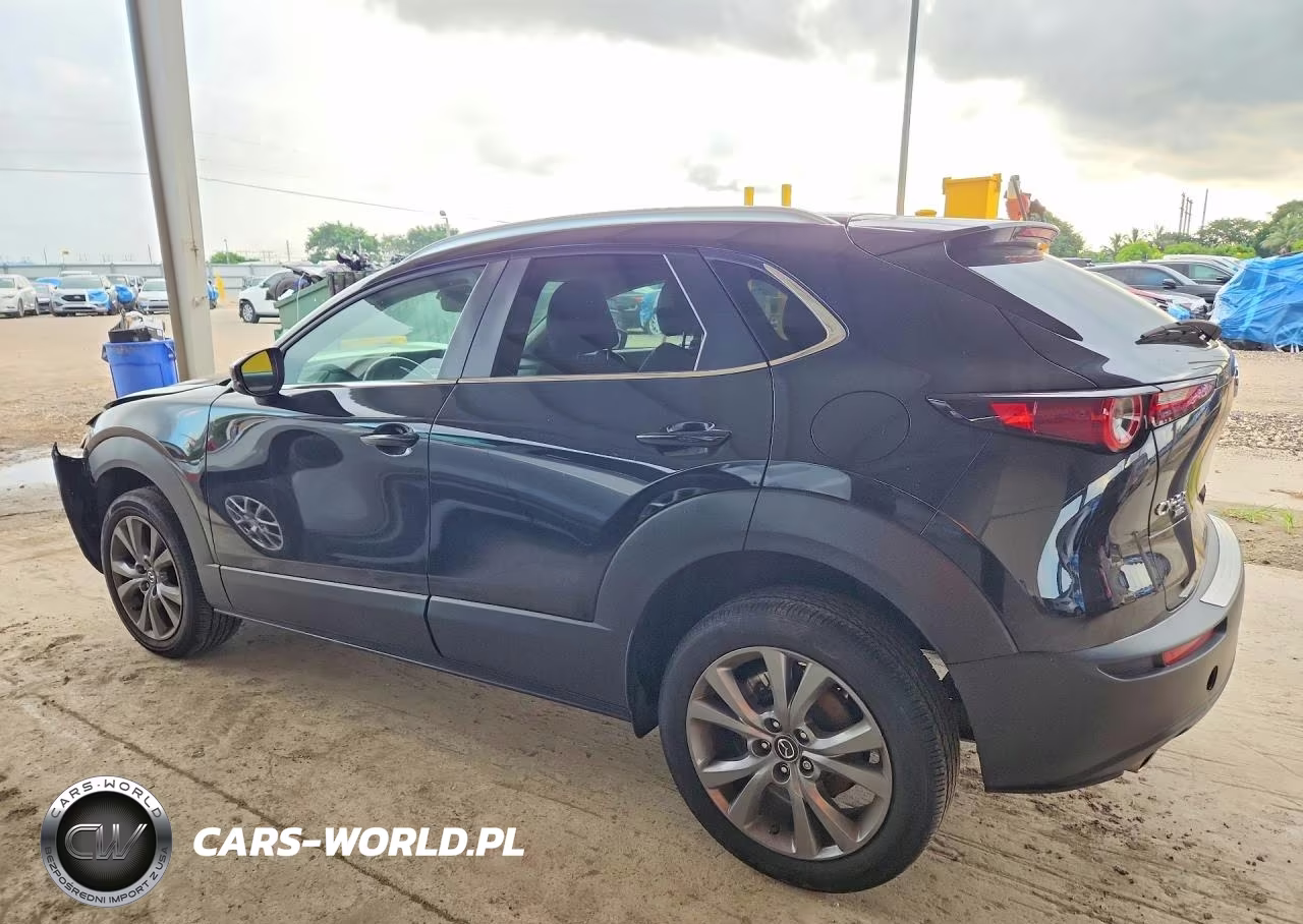 2025 Mazda Cx-30 Preferred VIN:3MVDMBCM5SM794993 - 2
