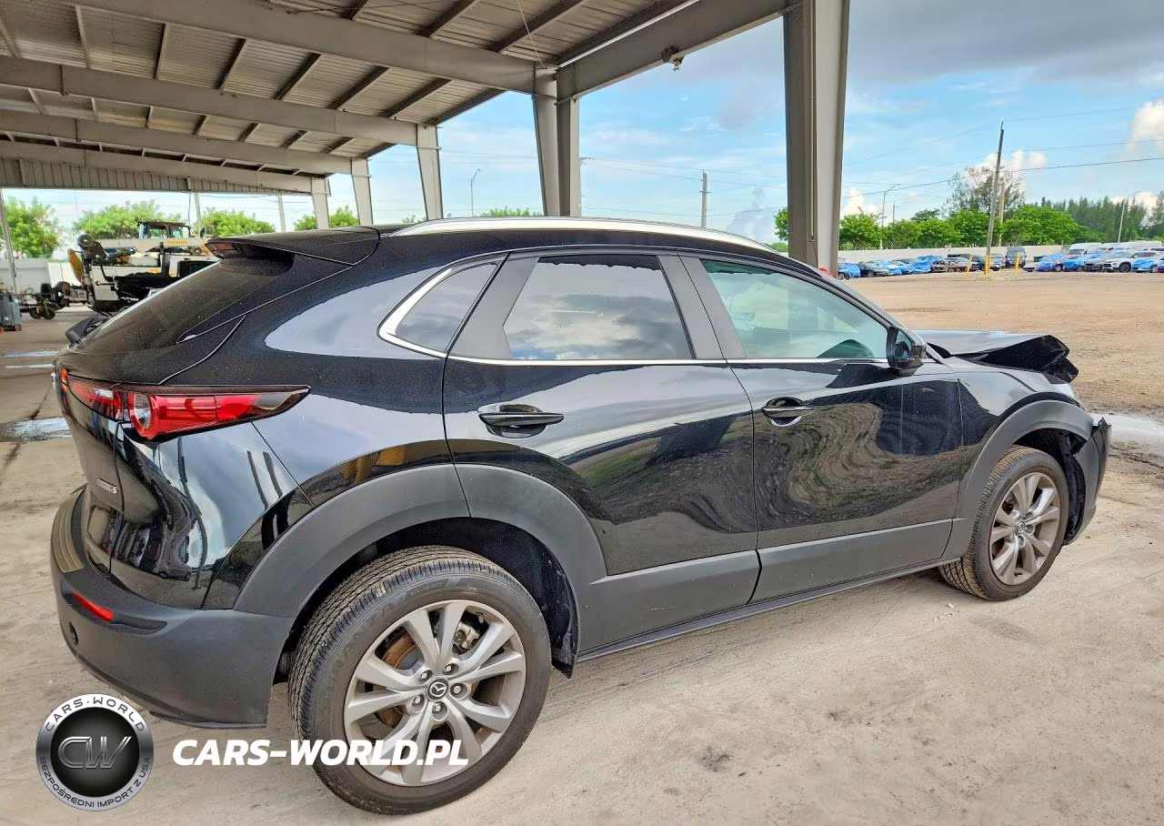 2025 Mazda Cx-30 Preferred VIN:3MVDMBCM5SM794993 - 3