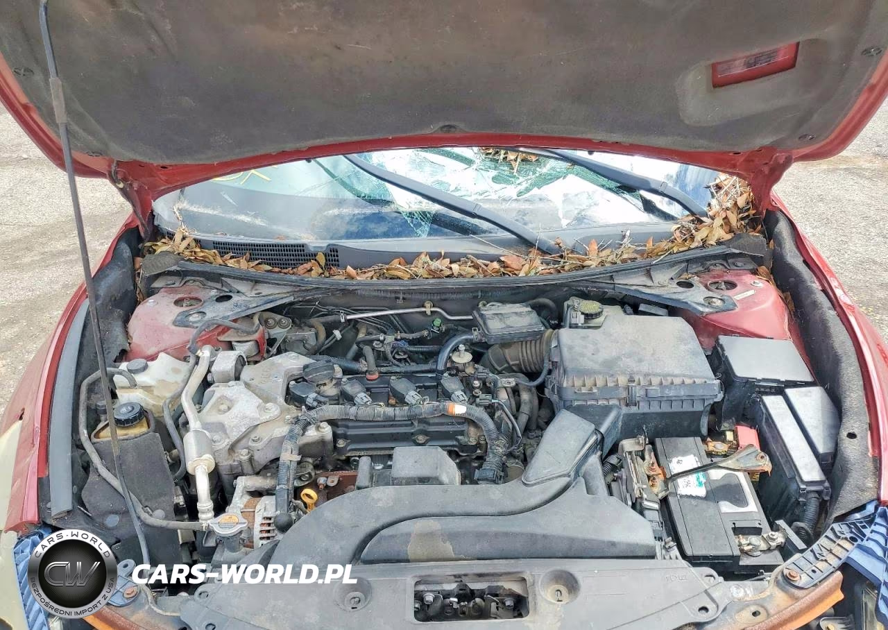2014 Nissan Altima 2.5 VIN:1N4AL3AP6EN215553 - 11