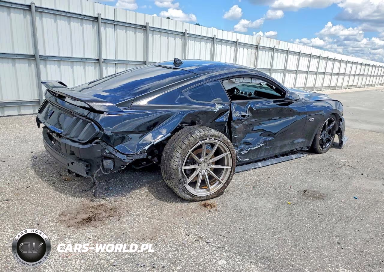 2021 Ford Mustang Gt VIN:1FA6P8CF5M5113204 - 3