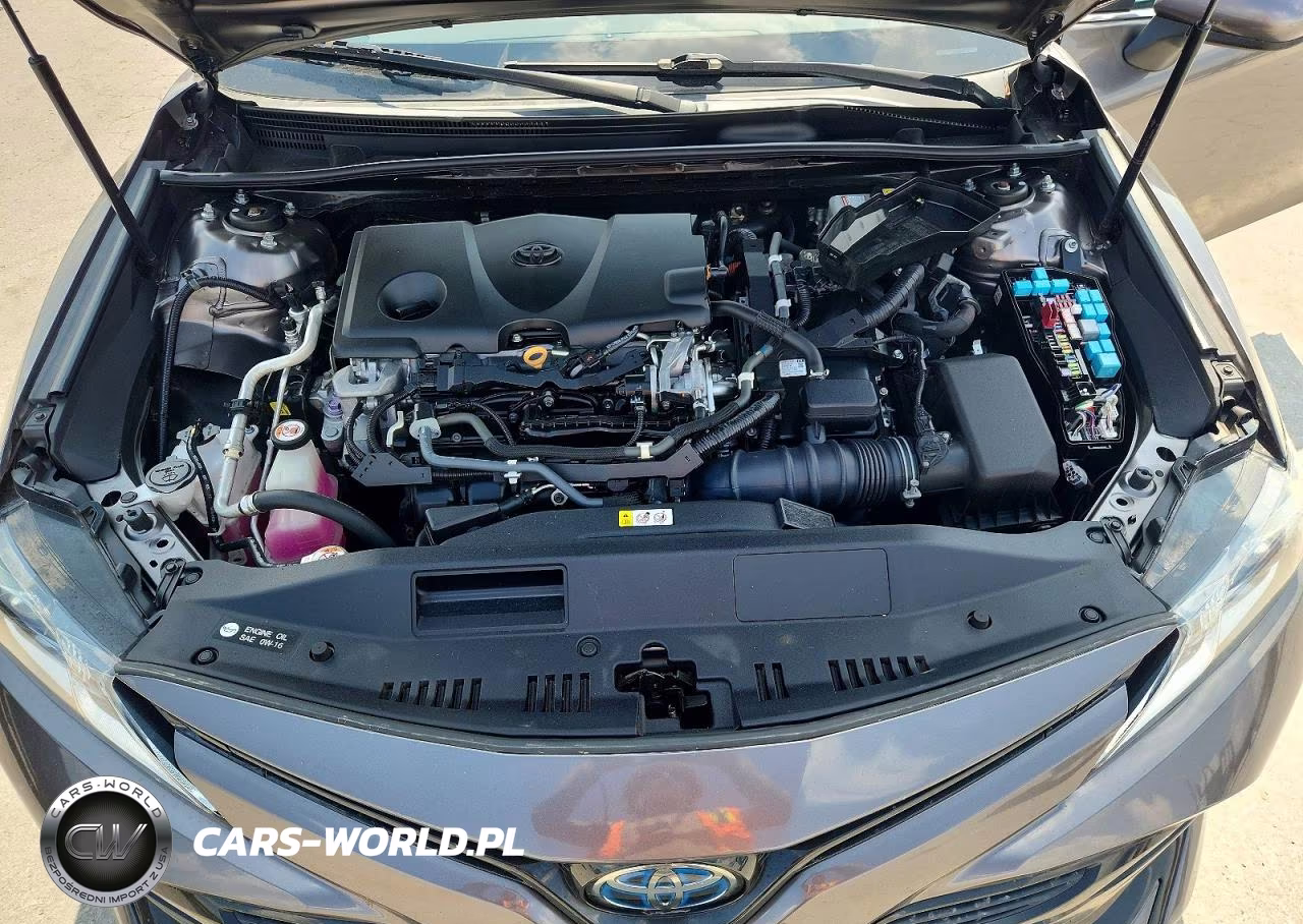 2020 Toyota Camry Le VIN:4T1C31AK2LU519652 - 11