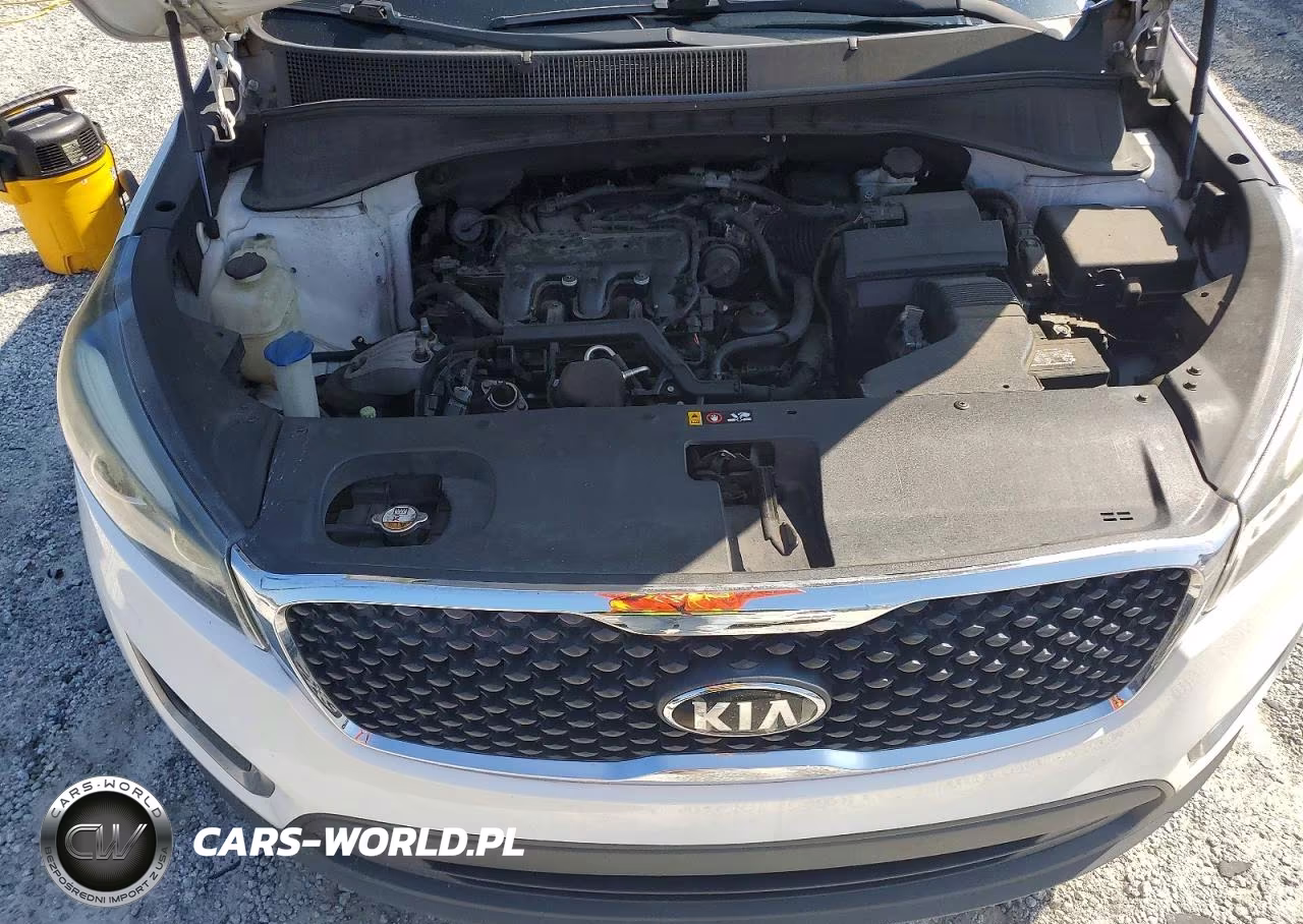2017 Kia Sorento Lx V6 VIN:5XYPGDA5XHG196059 - 12