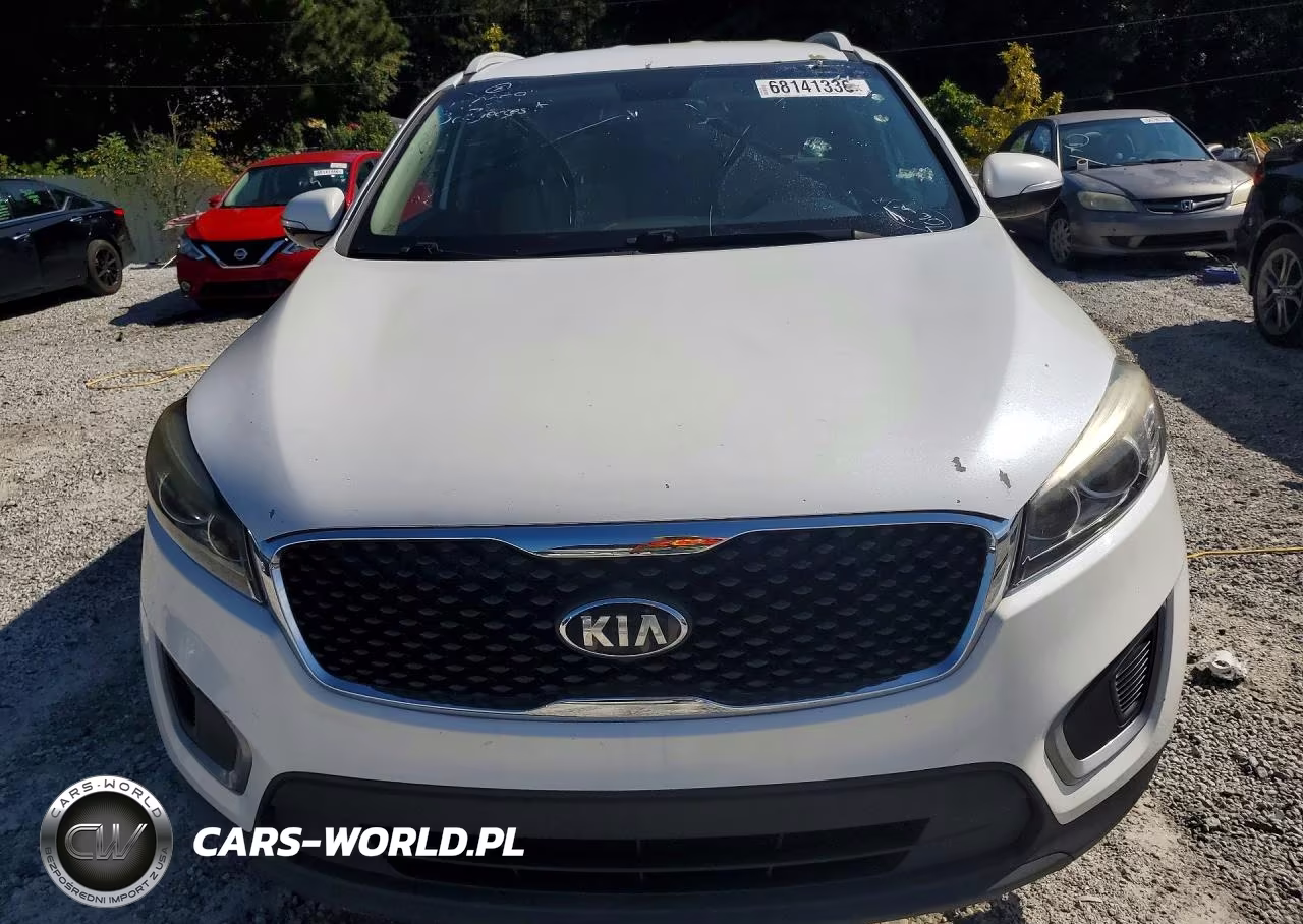 2017 Kia Sorento Lx V6 VIN:5XYPGDA5XHG196059 - 5