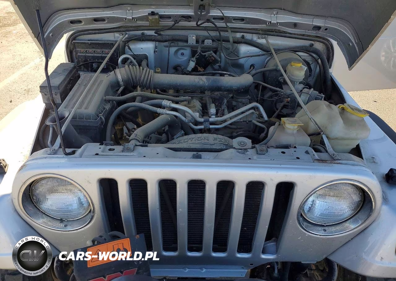 2005 Jeep Wrangler Sport 2D Su VIN:1J4FA49S85P360774 - 11