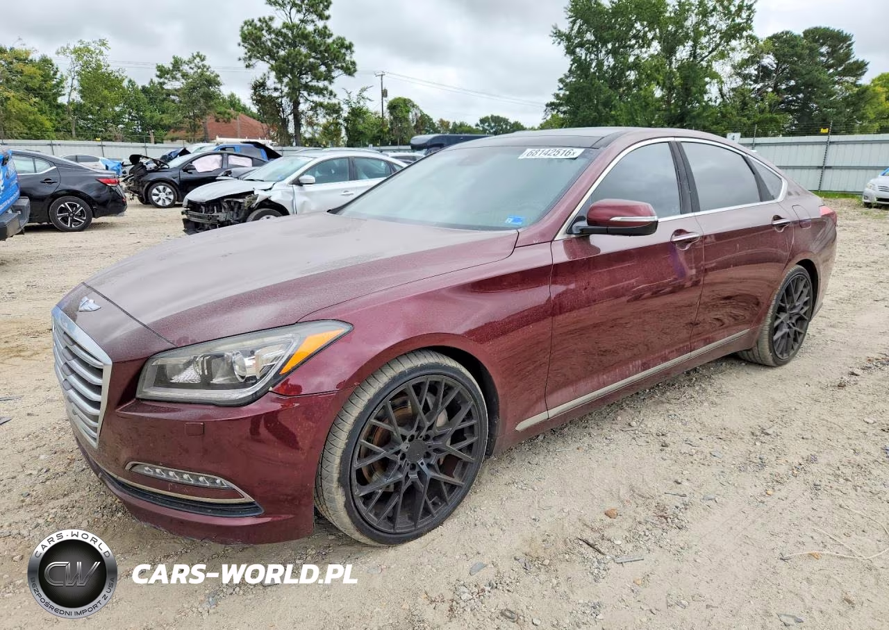 2016 Hyundai Genesis 3.8L VIN:KMHGN4JE4GU108556 - 1