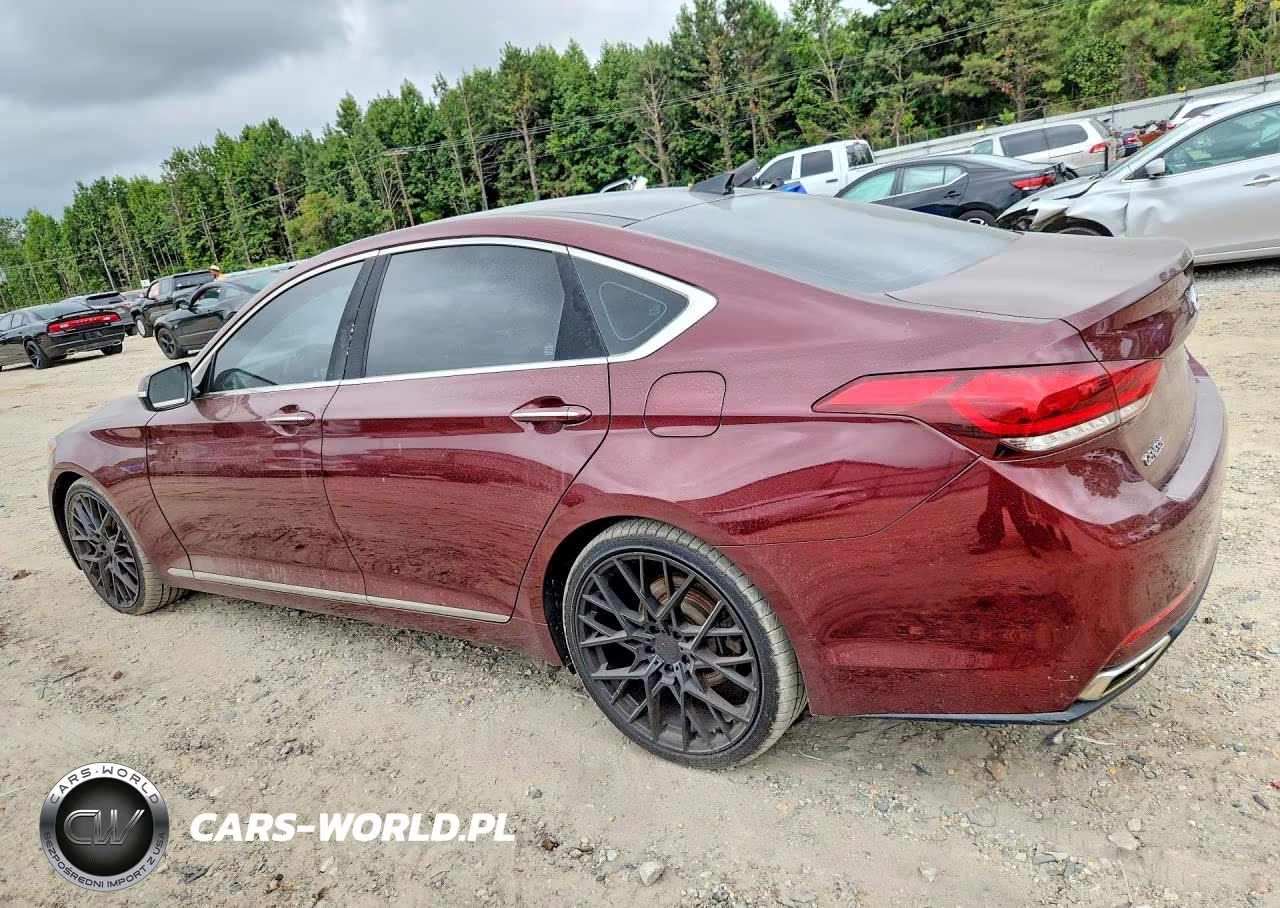 2016 Hyundai Genesis 3.8L VIN:KMHGN4JE4GU108556 - 2