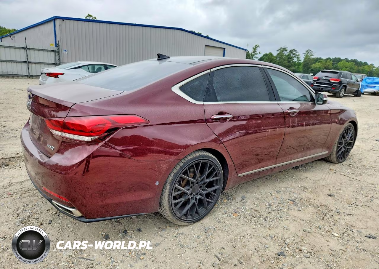 2016 Hyundai Genesis 3.8L VIN:KMHGN4JE4GU108556 - 3