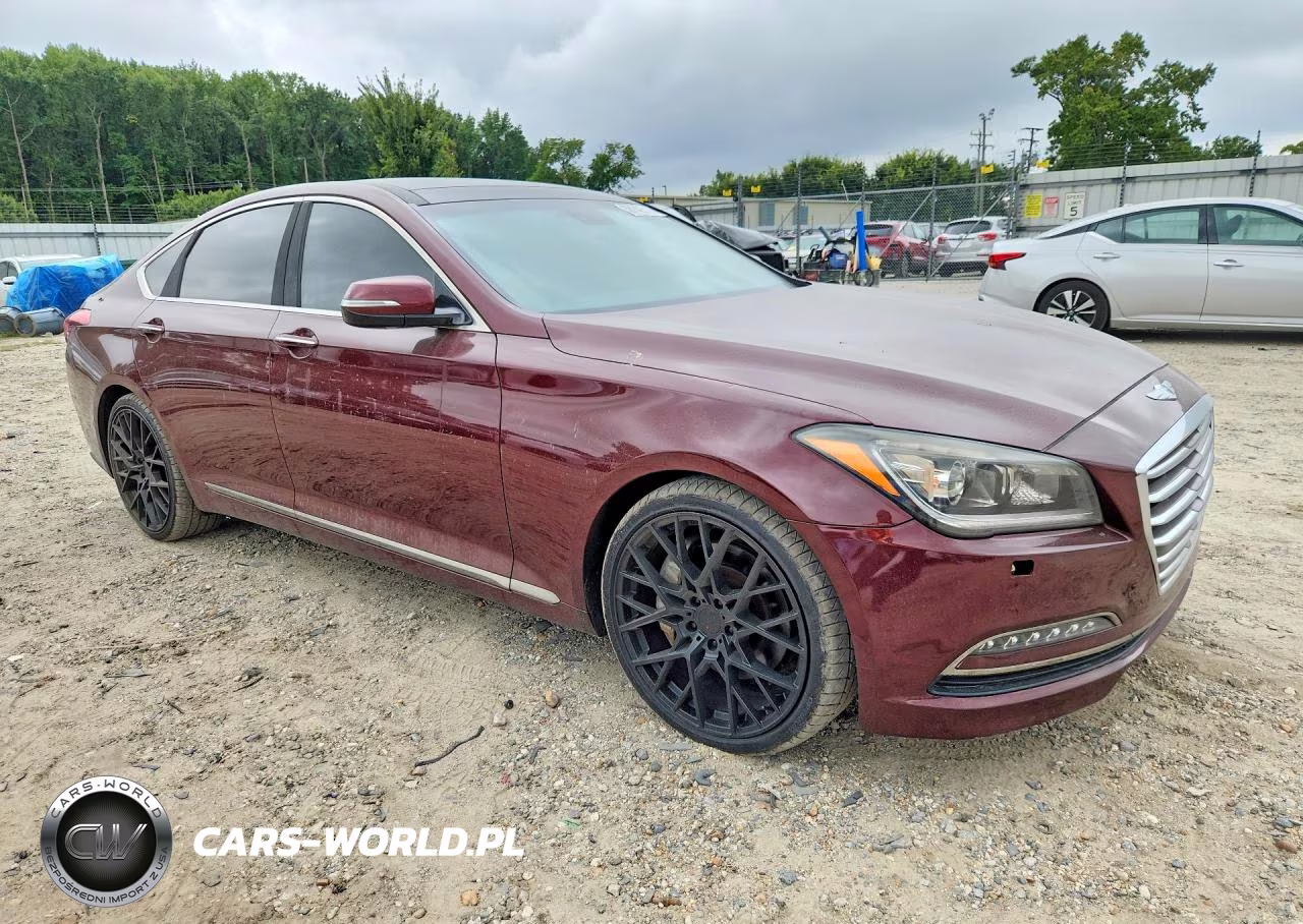 2016 Hyundai Genesis 3.8L VIN:KMHGN4JE4GU108556 - 4