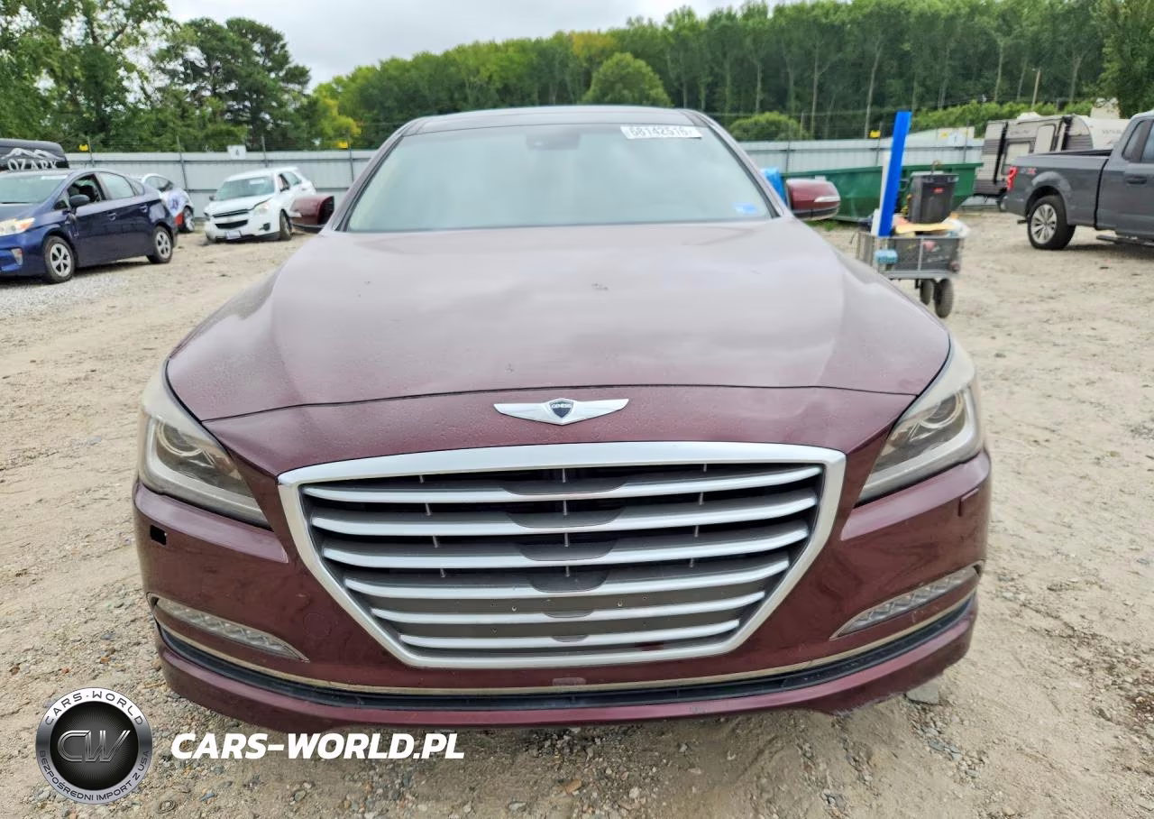 2016 Hyundai Genesis 3.8L VIN:KMHGN4JE4GU108556 - 5