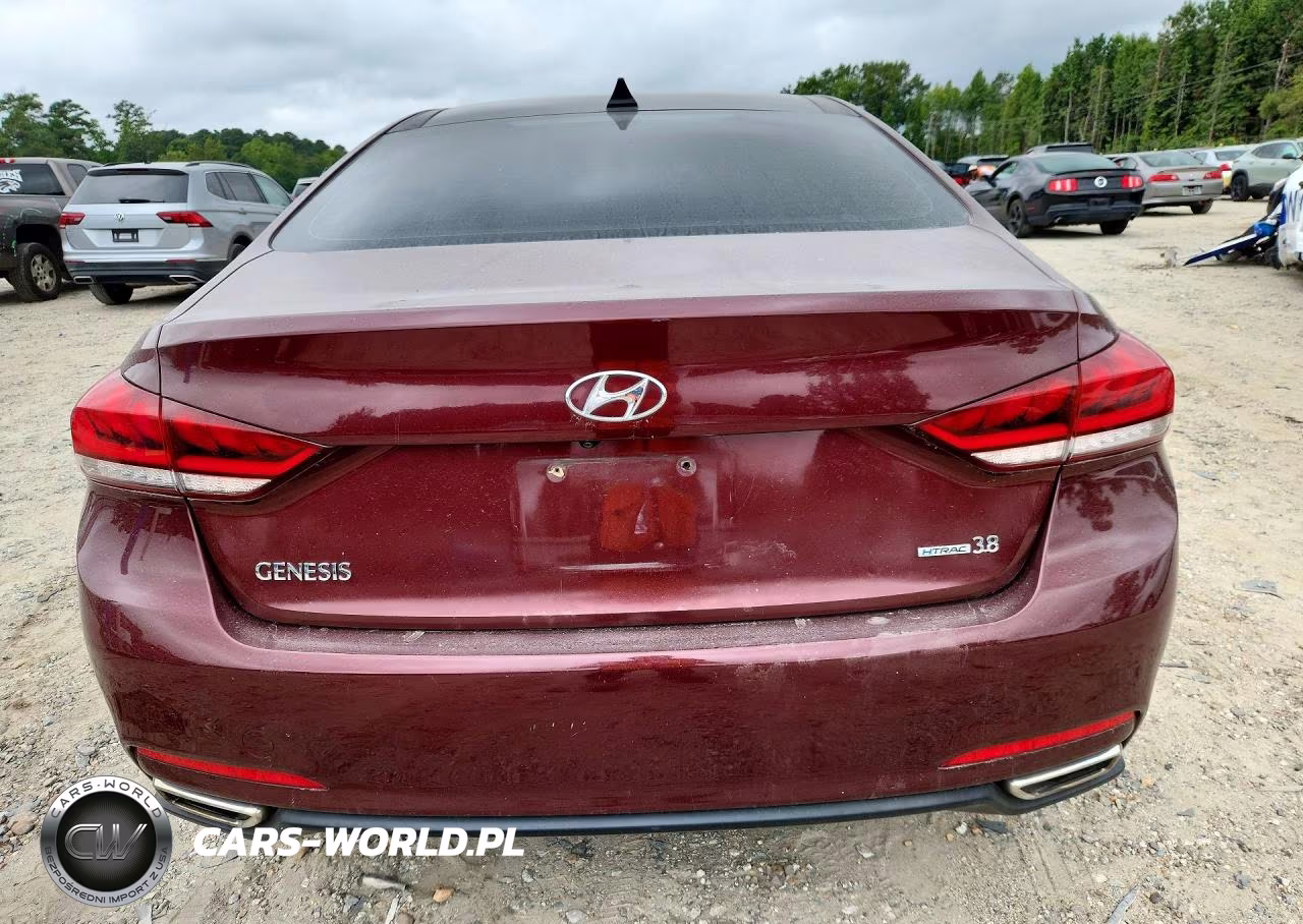 2016 Hyundai Genesis 3.8L VIN:KMHGN4JE4GU108556 - 6