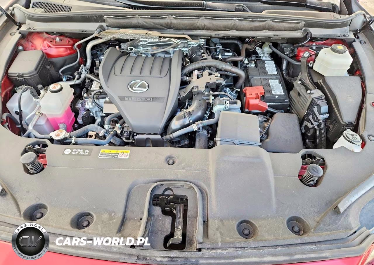 2023 Lexus Rx 350 Premium VIN:2T2BAMBAXPC019735 - 12
