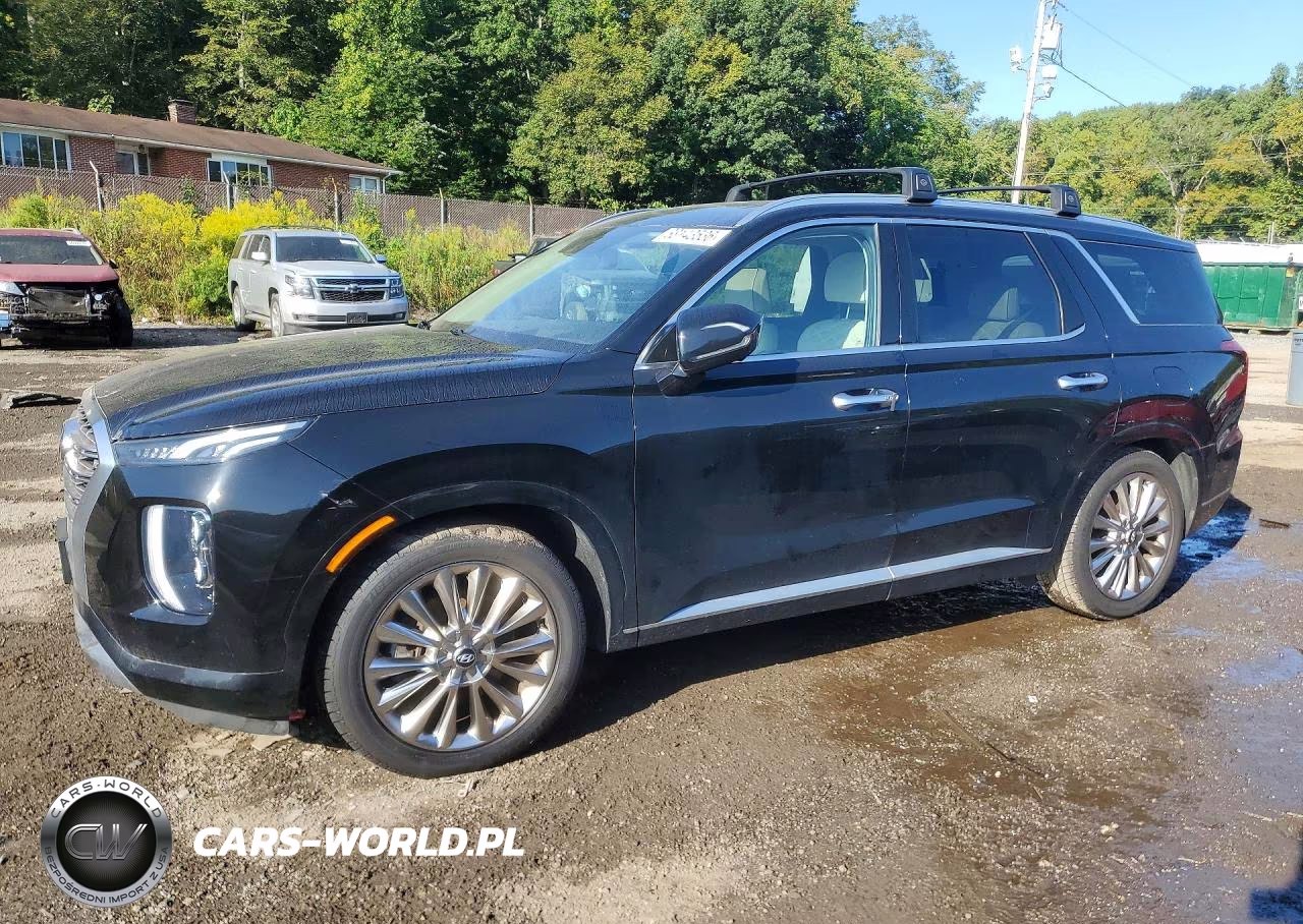 2020 Hyundai Palisade Limited VIN:KM8R5DHE0LU162316 - 1