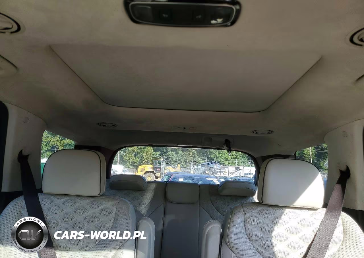 2020 Hyundai Palisade Limited VIN:KM8R5DHE0LU162316 - 10