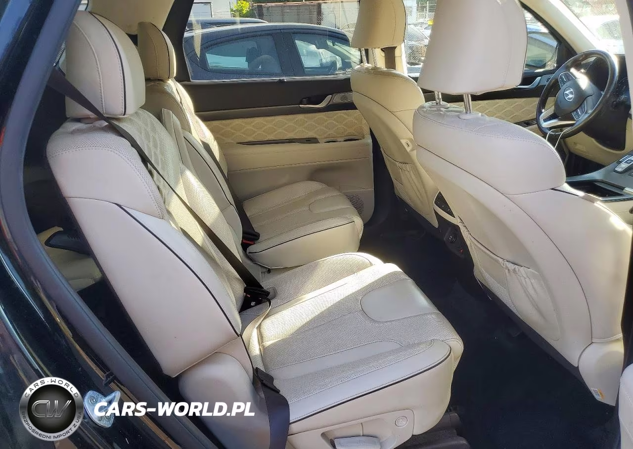 2020 Hyundai Palisade Limited VIN:KM8R5DHE0LU162316 - 11
