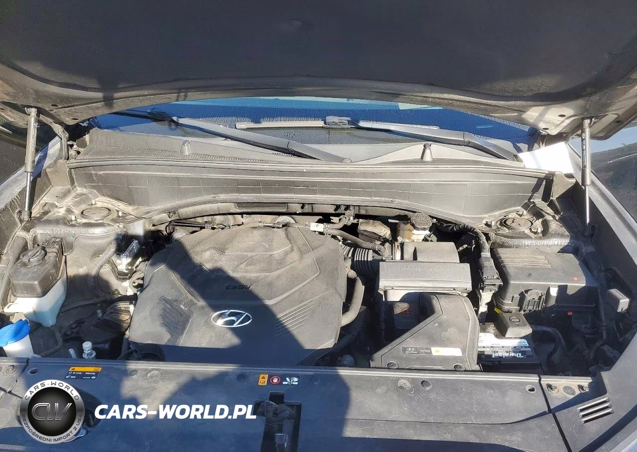 2020 Hyundai Palisade Limited VIN:KM8R5DHE0LU162316 - 12