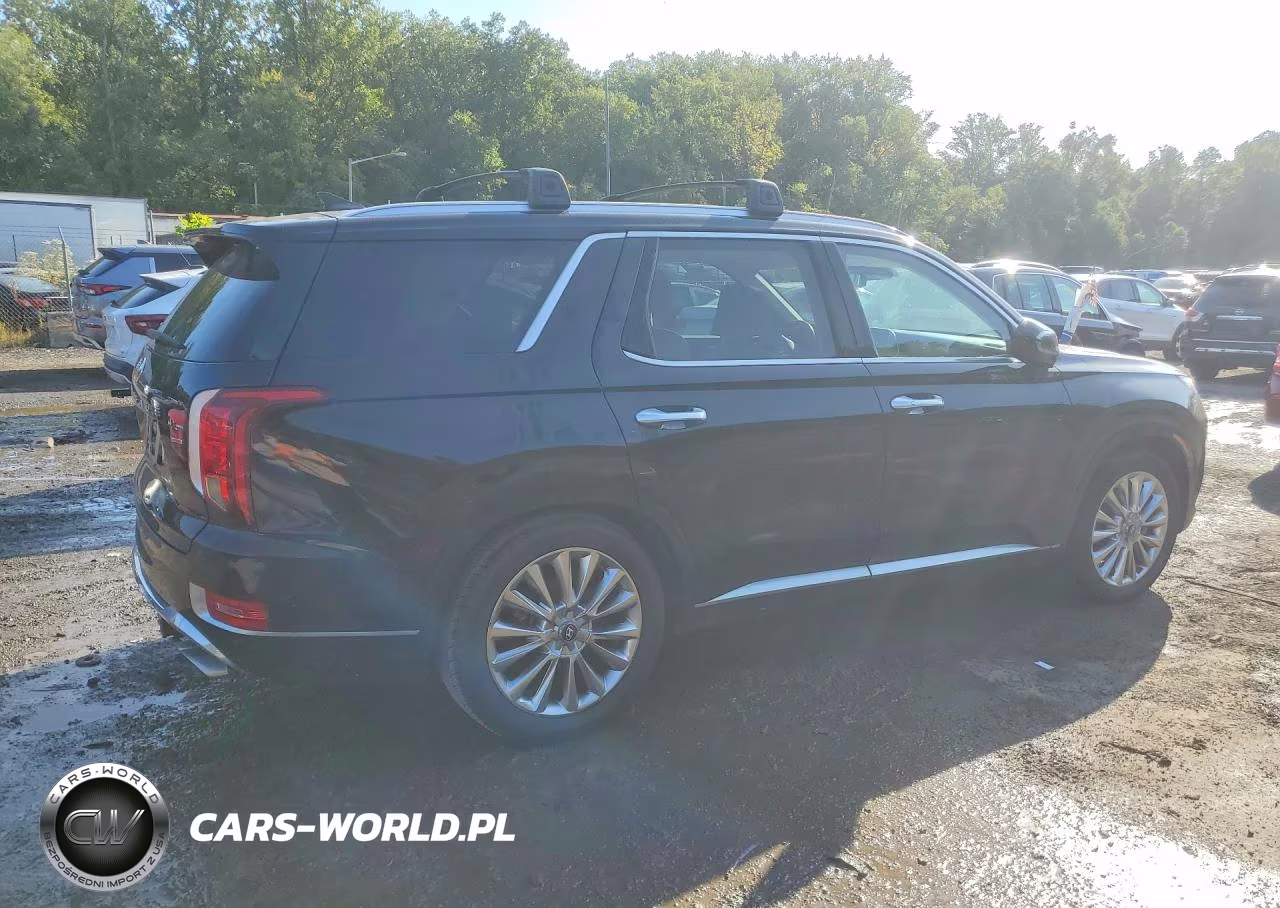 2020 Hyundai Palisade Limited VIN:KM8R5DHE0LU162316 - 3