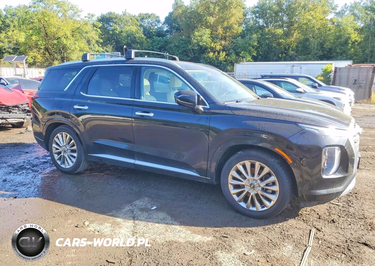2020 Hyundai Palisade Limited VIN:KM8R5DHE0LU162316 - 4
